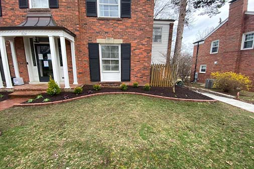 Lawn Maintenance